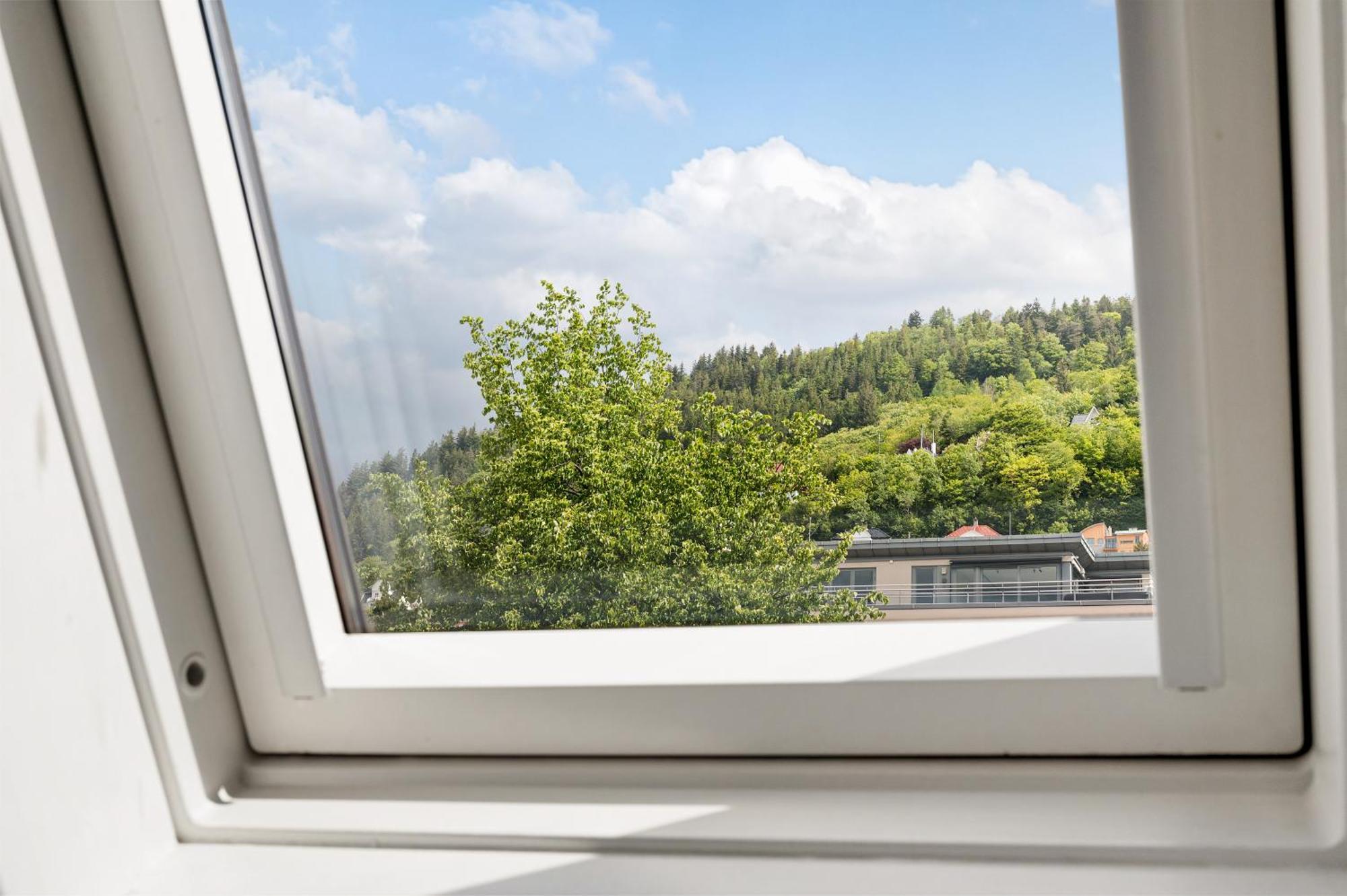 3 Bedroom In Heart Of * Bergen